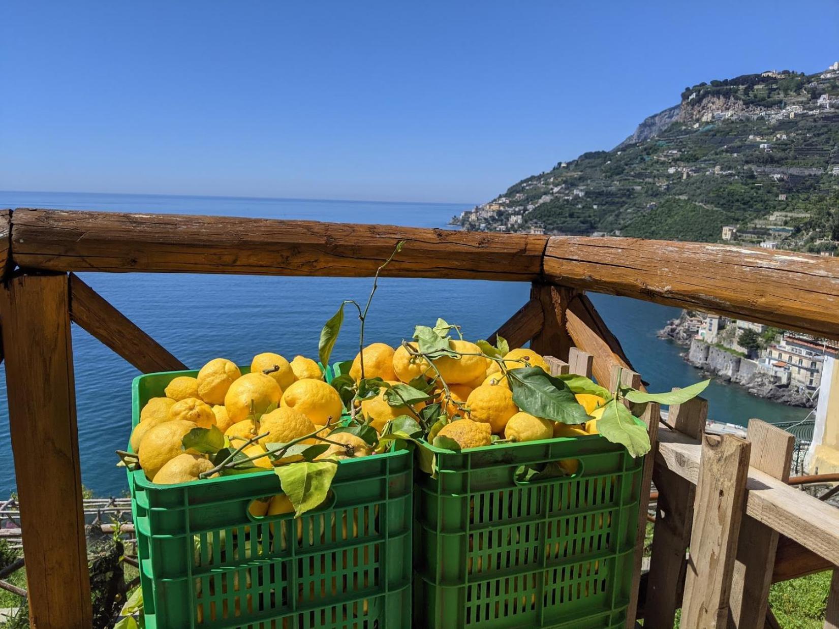 Casa Vacanze Freeholiday House Minori Buitenkant foto